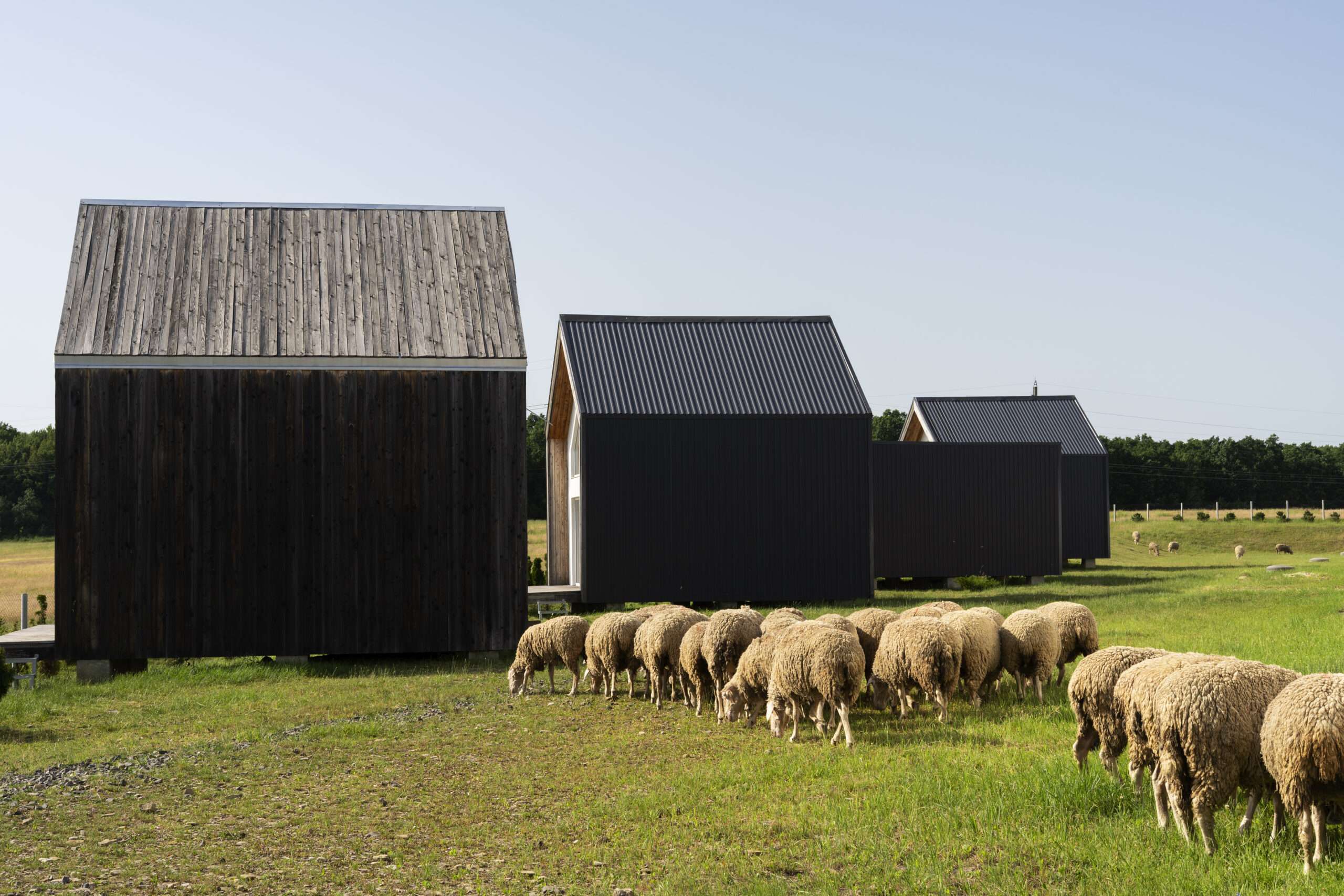 How Can You Choose The Right Size Metal Barn For Your Needs?