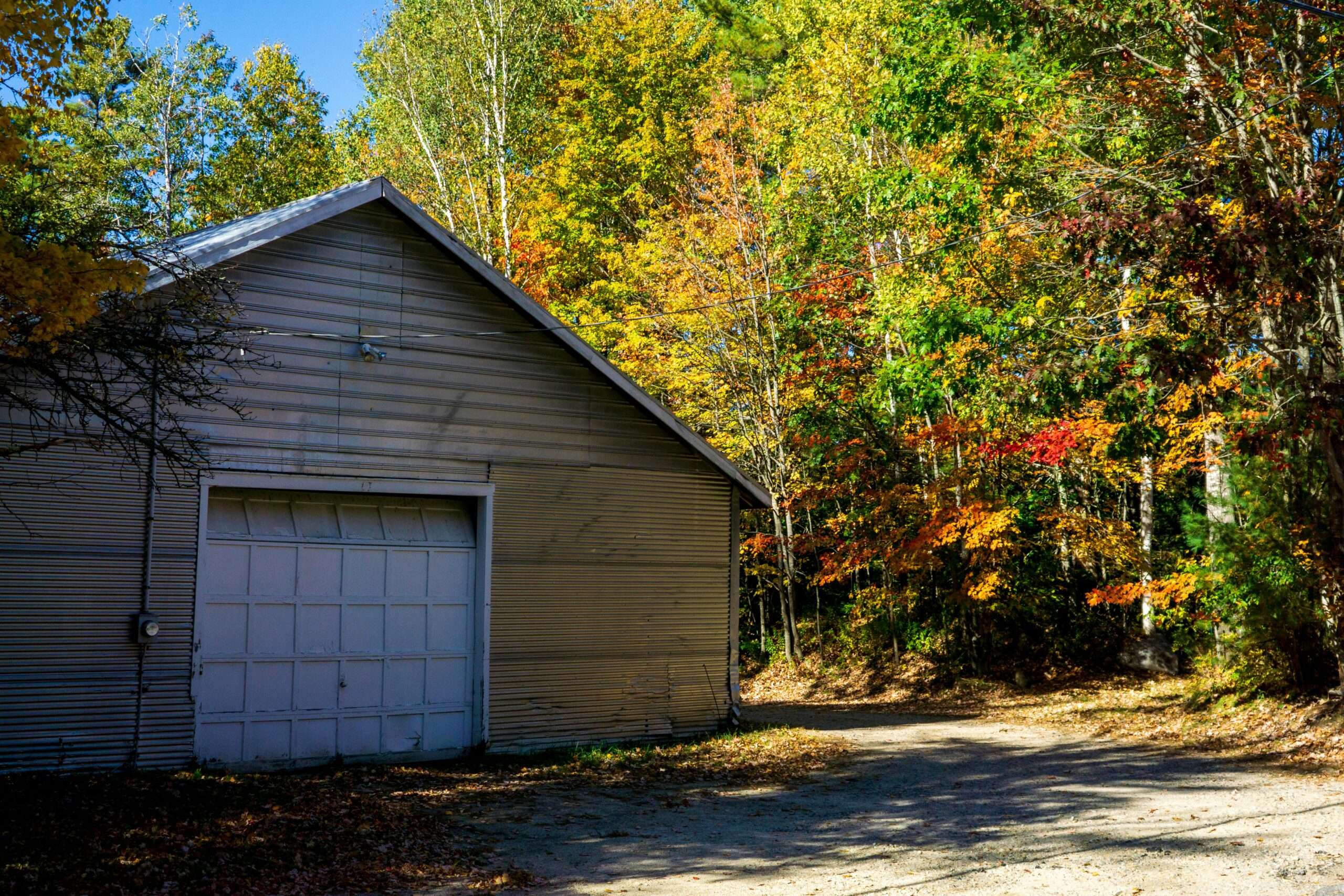 Metal barn in the depths of the forest