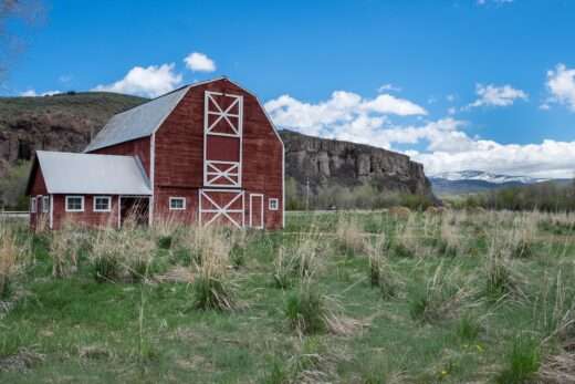 Essential Features Of A Metal Barn