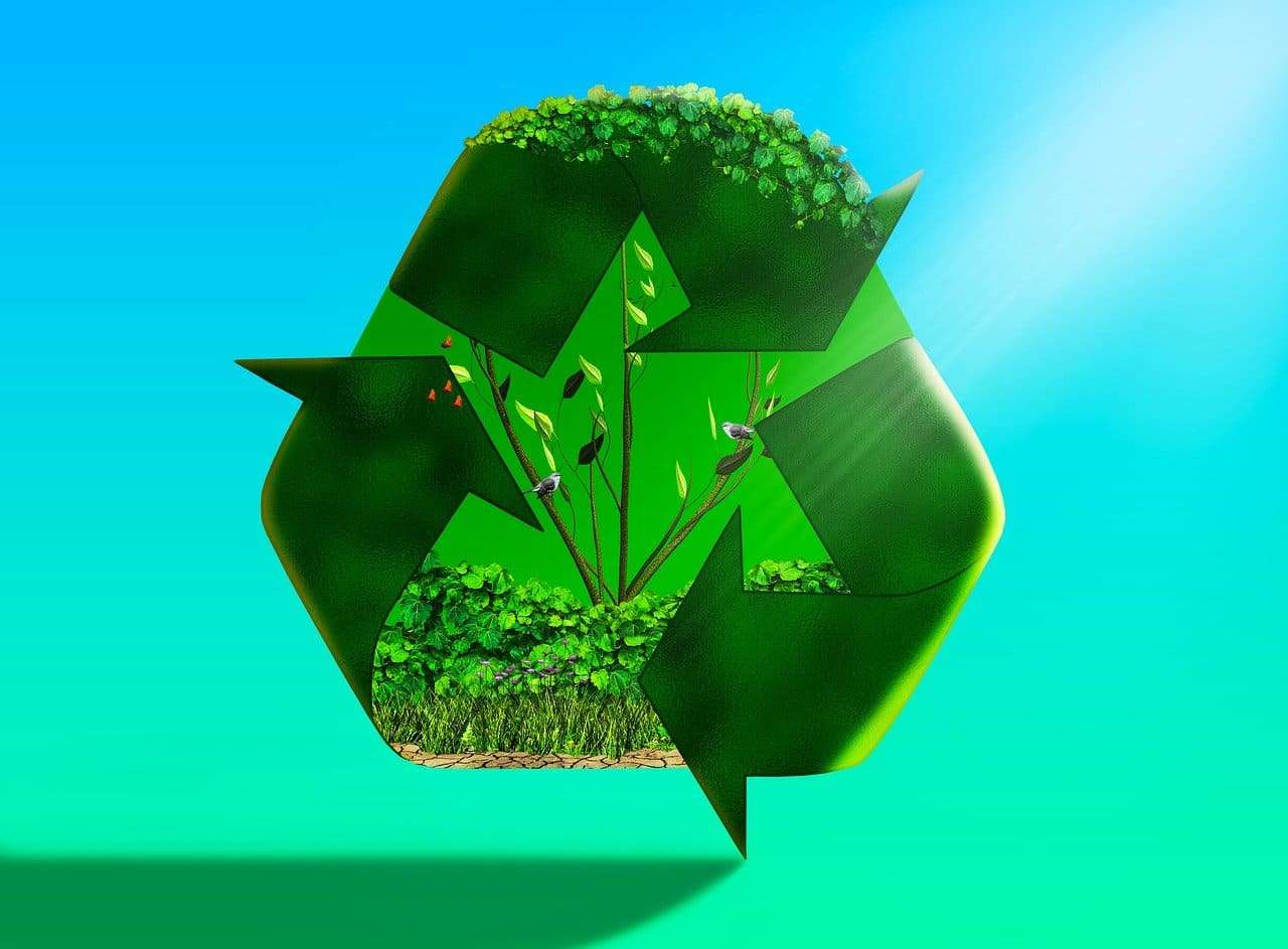 A green recycle logo