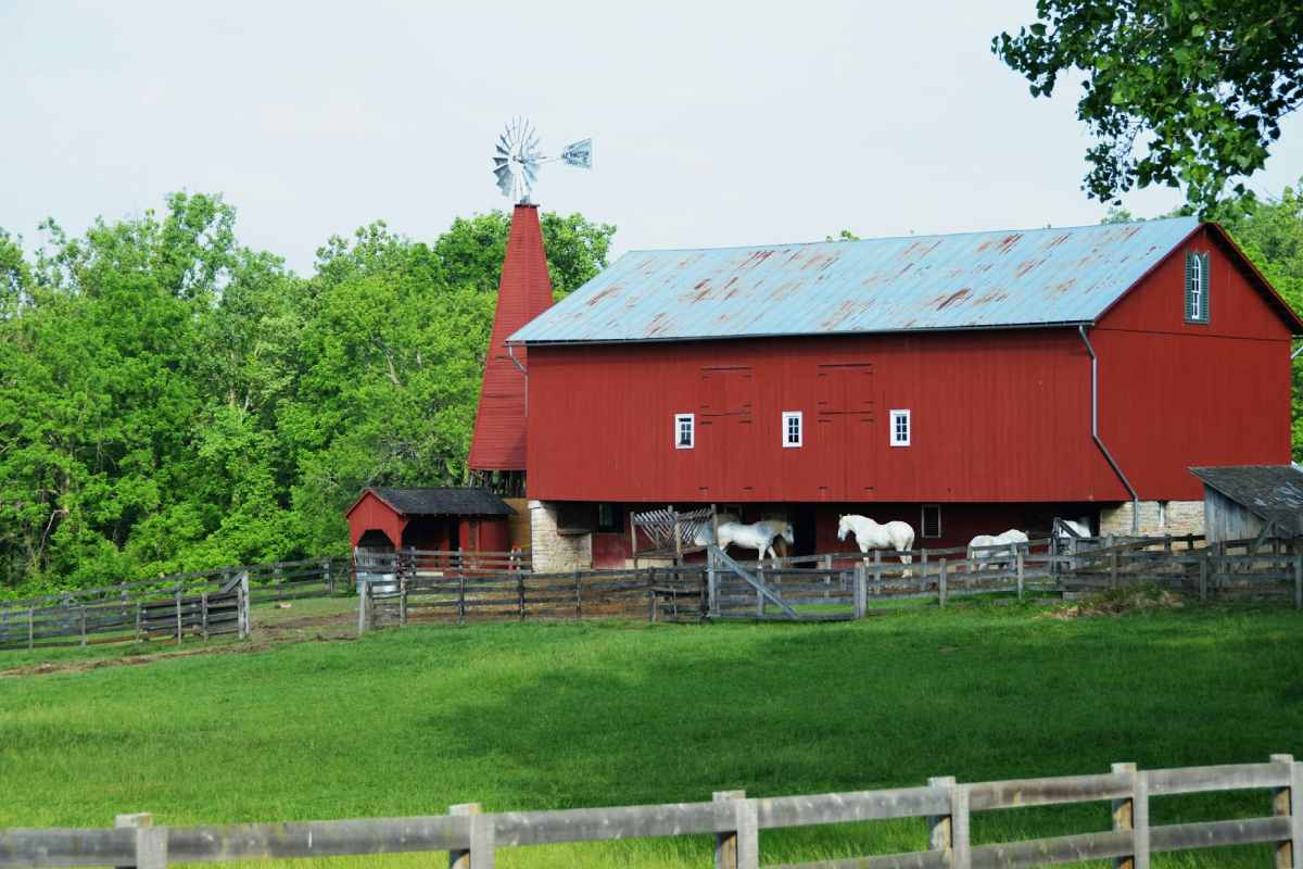 Barndominium Insurance: Know The Different Types of Policy