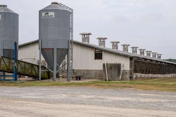 steel barn and grain storage system, ideal for barndominium development project