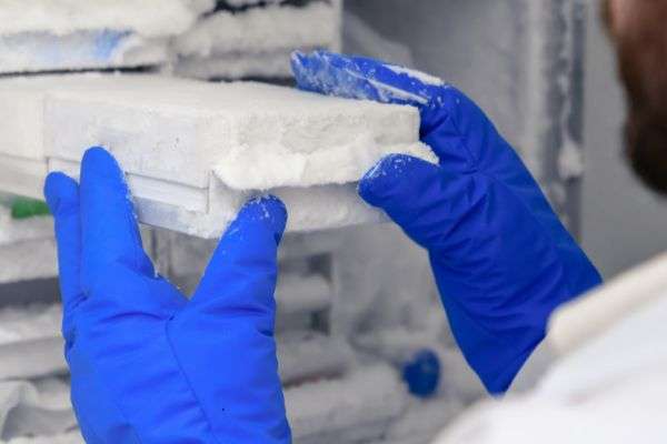 Understanding insulation benefits in metal building