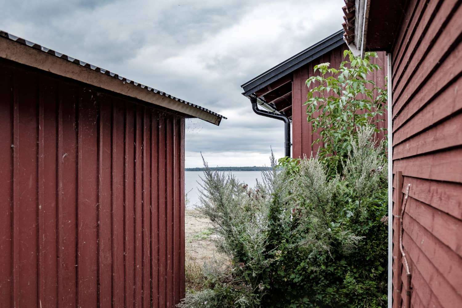 Prefab metal buildings that can shield you from harsh weather 